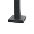 Portable Movable Professional Keypad Gooseneck Stand Kit (42" Car Height) (Black)